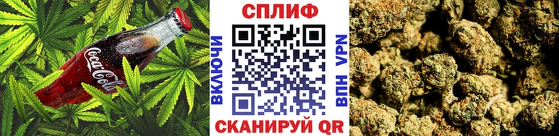 hydra зеркало  Мурино  darknet официальный сайт  Cannafood конопля 